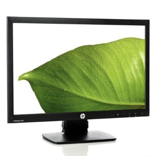 Écran 21 LCD FHD HP ProDisplay P221 - vue 2
