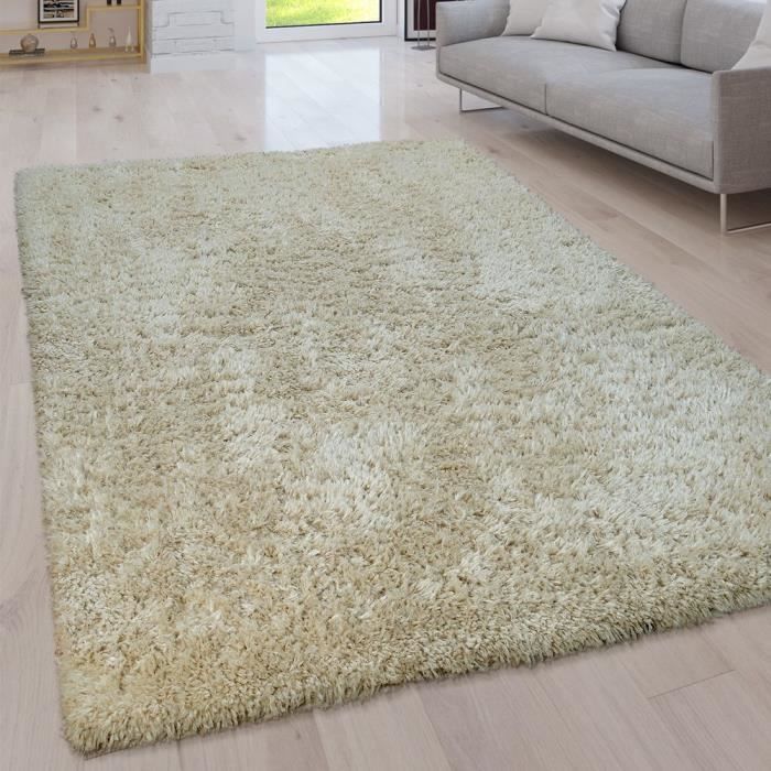 34,50 €/m² 700012 Le Japon de coffre tapis Filtre Polyester Tapis 200x100x3,5cm 