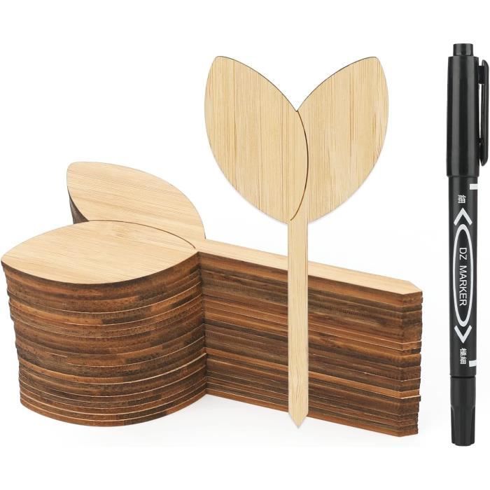 Pics Bambou gourmand - 12cm: B100 main image 0