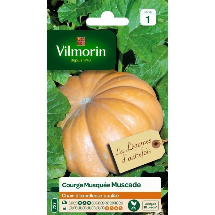 vilmorin courge muscade de provence cdiscount jardin