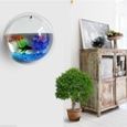 Aquarium,Aquarium mural en acrylique suspendu pour poissons, Vase à plantes, fleurs, Betta, décoration de la maison - Type B-1
