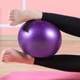 Mini Ballon de Gymnastique 25 cm Balle de Exercice pour Fitness Gym Yoga Pilâtes - Stabilité Anti-Explosion Convient N-2