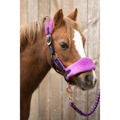 HKM Brisbane Licol Violet Pour Poney – Fermeture Latérale, Ferrures Argentées – Confortable Et Durable