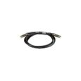 D-LINK Câble d'empilage - DEM-CB300S - Direct Attach SFP+ 3 m-0