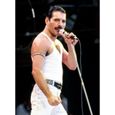 Poster Affiche Freddie Mercury Live-Aid Concert Vetements Blancs 31cm x 42cm-0