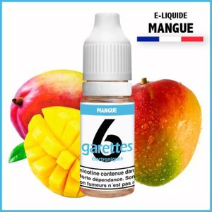 3,90€ E-liquide goût mangue ECG Fabriqué en France - Flacon de 10ml E-CG pour  cigarette électronique