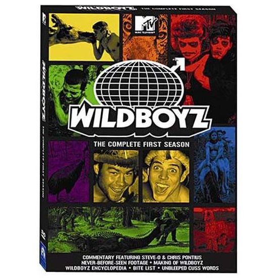 DVD L'intégrale des Saisons 3 & 4 WildBoyz Francia 