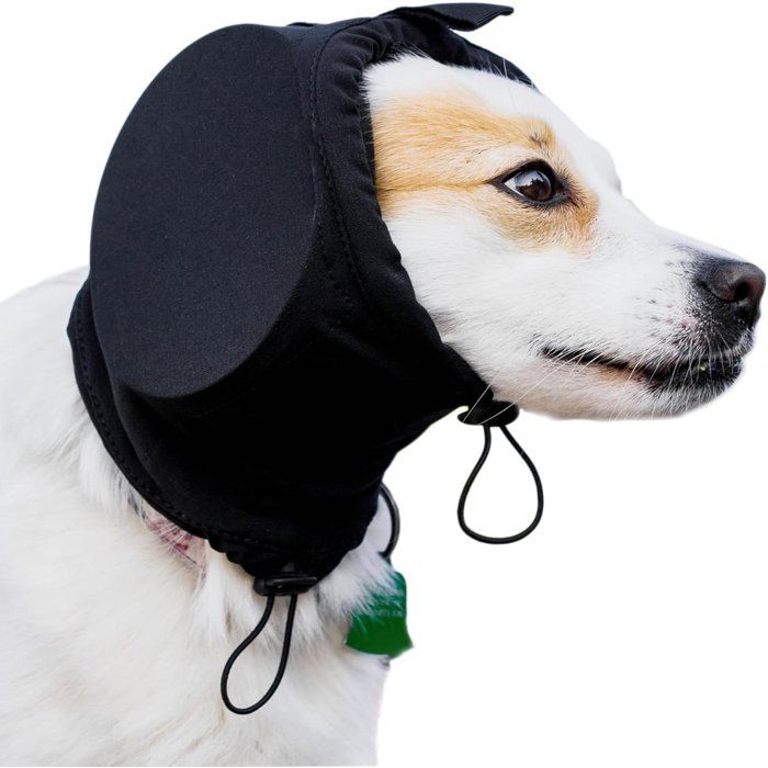 Cache-oreilles pour chien - Bandeau antibruit - Protection auditive confortable - Taille M - Noir