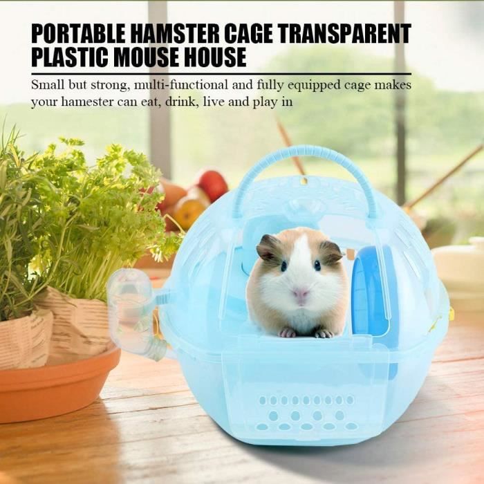Photo inspiration: Picture Idea: Portable Hamster Cage Transparent En Plastique Souris Maison