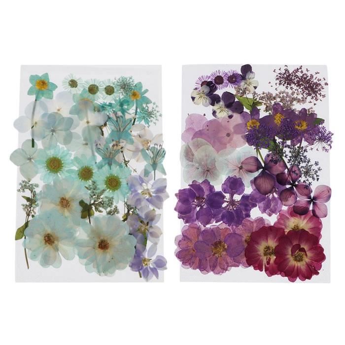 35 Feuilles Séchées Naturelles Pressées - Vraies Plantes Pour Scrapbooking, Nail Art, Résine DIY & Décoration Artisanat