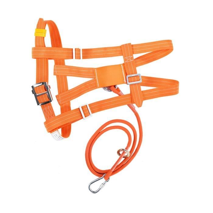 SwaYve Ceinture de Sécurité Pour Le Travail Aérien, Harnais D'Escalade Extérieur Pour Les Travaux de Coupe D'Arbres, Outils de Protection de La Sécurité Aérienne SwaYve Ceinture de Sécurité Pour Le Travail Aérien, Harnais D'Escalade Extérieur Pour Les Travaux de Coupe D'Arbres, Outils de Protection de La Sécurité Aérienne