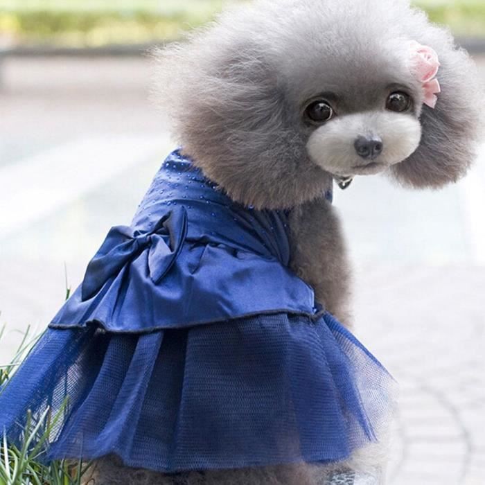 Chien robe online
