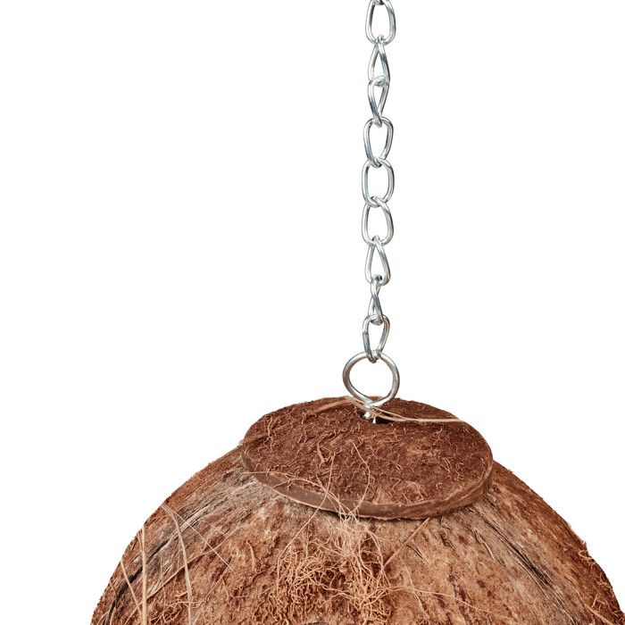 Maison D'Oiseau Noix De Coco Naturelle Avec Perchoir - Nichoir Confortable Pour Perruches, Pinsons Et Oiseaux Du Jardin