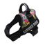 Harnais Chien Grand Taille Anti Traction Harnais Gros Chien