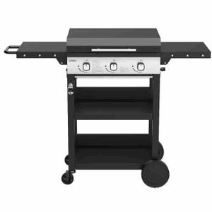 Plaque Plancha Pour Barbecue - Acier Inoxydable 40x30 Cm, Bords Anti-fuite, + 2 Spatules Et 5 Brochettes Inox