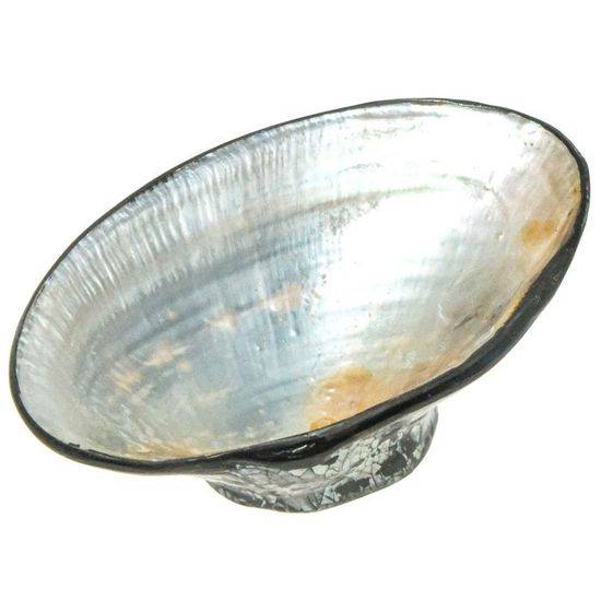 Petit récipient avec coquil... - Cdiscount Maison