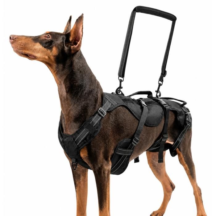 Harnais de Levage et de Soutien pour Chien - Taille L - Aide à la Mobilité Double Poignée Maintien Arrière et Avant KIT SECURITE