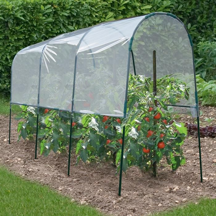 MARKET Serre à tomates 4M - vue 2
