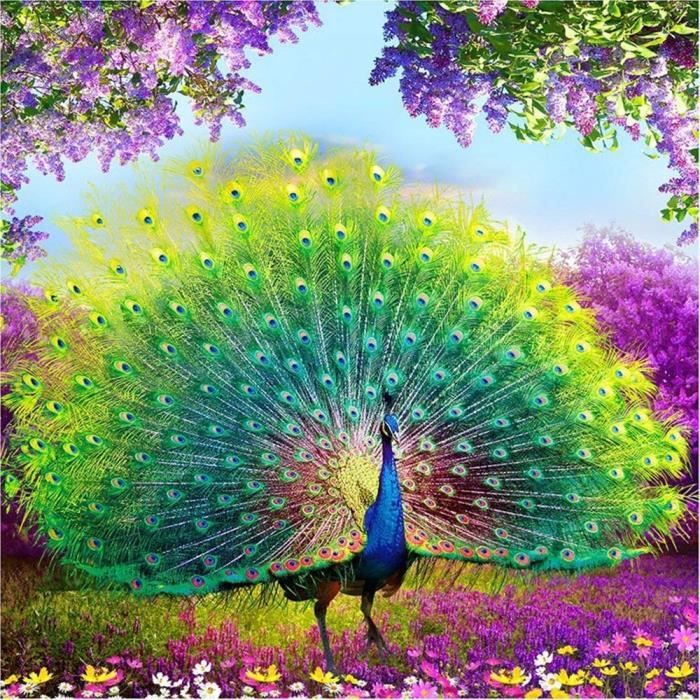 Kit De Dessin Broderie Diamant Kit Completpeinture Numéro Adultepeinture Par Numeropaon Oiseau