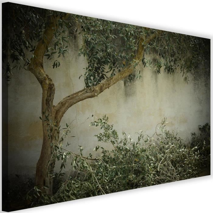 Tableau Déco Murale Olivier - 60x40cm, Toile Sur Cadre MDF, Impression Couleurs Vives, Style Moderne Salon/chambre