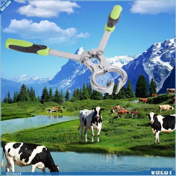 Comparer les prix de VGEBY PINCE DE CASTRATION MOUTON PLIER CASTRATEUR SANS SANG