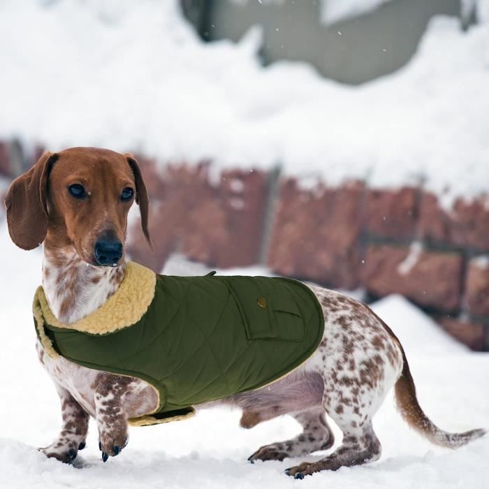 Manteau pour chien de chasse hotsell