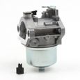 Carburateur pour Briggs & Stratton 699831 694941 Lawn Mower Tractor Engines 283702 283707 284702 284707 284777-3