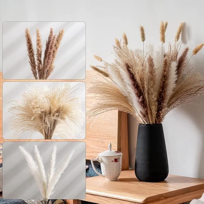Herbe De La Pampa Séchées, 50 Pcs Fleurs Sechees Naturelles Decoration ...