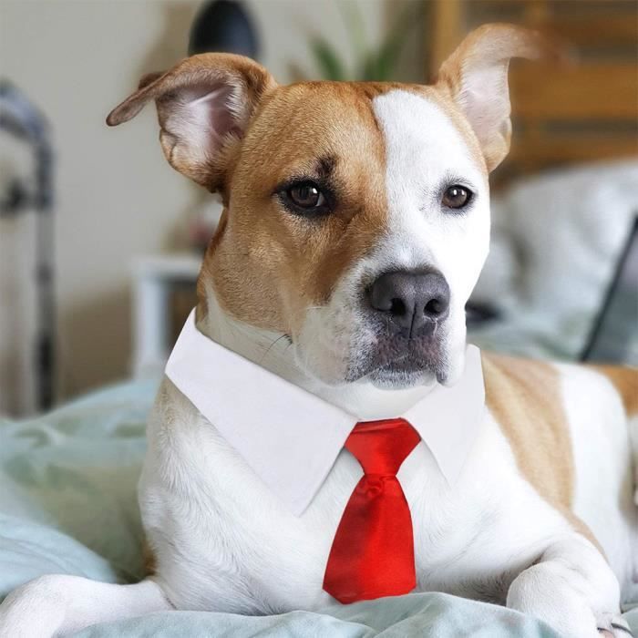 Collier de cravate pour chien,gentleman ajustable Look avec rouge