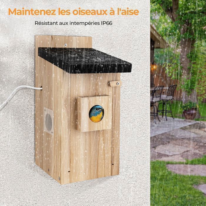 VOLIERE Nichoir pour oiseaux avec caméra, caméra pour nichoir d — free download