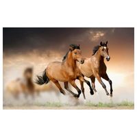 Affiche chevaux en plein galop - 60x40cm - made in France