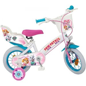 Disney La Reine des Neiges Vélo 16 Fille Licence Reine des Neiges pour  enfant de 5 à 7 ans avec stabilisateurs à molettes - 2 freins pas cher 