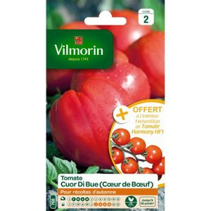 GRAINE - SEMENCE VILMORIN Tomate Cœur de Bœuf Sachet de graines
