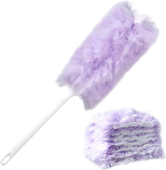 30 Pièces Plumeau Poussiere, Aimant Naturel pour la PoussièRe et Les