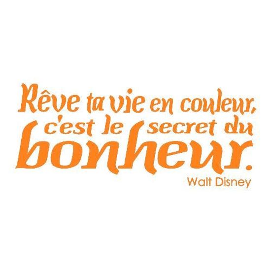 Stickers Citation Walt Disney Ref T Mk1062 Orange 57x130 Cm Achat Vente Stickers Cdiscount
