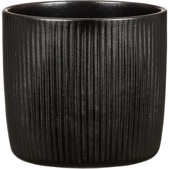 Bonsaï Carmona En Pot Céramique - 25-35 Cm - Avec Soucoupe Et Ciseaux - Idée Cadeau