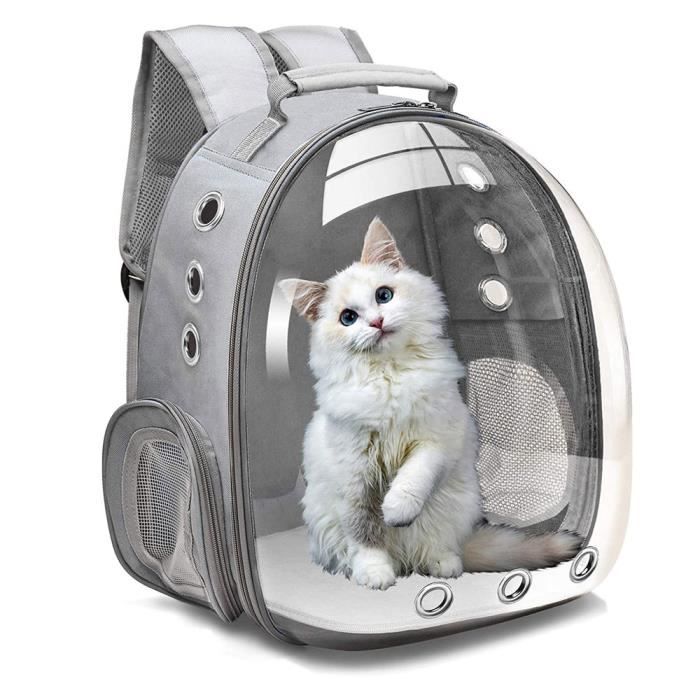 Sac Transport Chat Sac à Dos pour Chat et Petit Chien Respirant et Transparent Idéal pour Voyage en Train Voiture Avion
