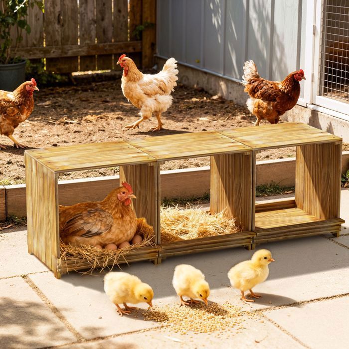 Meilleurs prix pour Pondoir pour poules 3 emplacements nichoir en Bois - BingoPaw - Nichoir à poules - 105x30x36cm