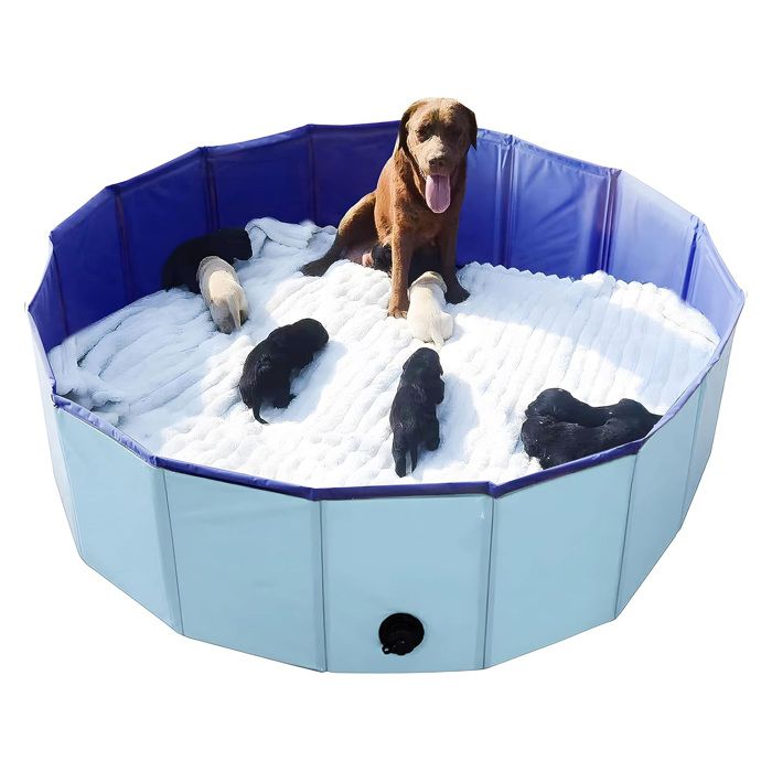Piscine pour animaux de compagnie 160 x 30 cm en PVC pliable et portable adaptée à une utilisation en intérieur et en extérieur