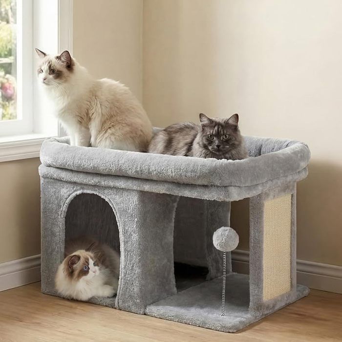 Arbre à Chat Tour de 35 cm avec Grande Plateforme de Repos et Cabane pour Chats Adultes dIntérieur Poteaux à Griffes Gris Clai