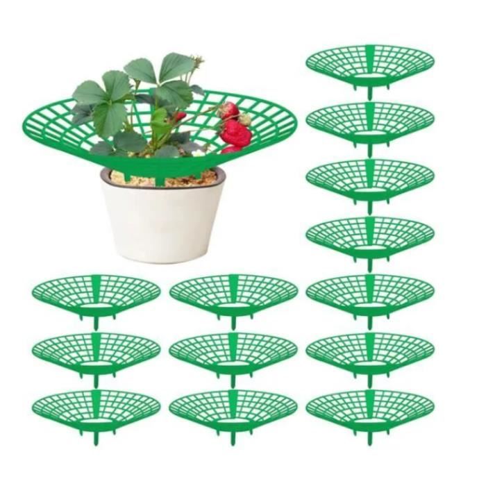 Support pour fraises Lot 10 Protection limaces jardin Support fraisier plastique