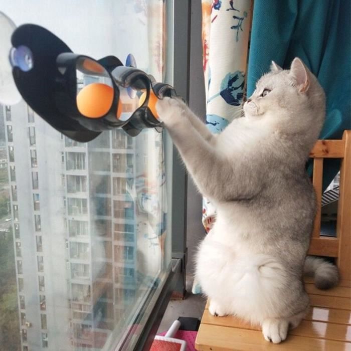 Pet Chat Piste Jouet Balle Fenetre Tennis De Table Adsorption Verre Chat Jouet Plastique Ventouse Drole Chat Educatif Jouet Chat Int Cdiscount Pet Chat Piste Jouet Balle Fenetre Tennis De Table Adsorption Verre Chat Jouet Plastique Ventouse Drole Chat Educatif Jouet Chat Int Cdiscount