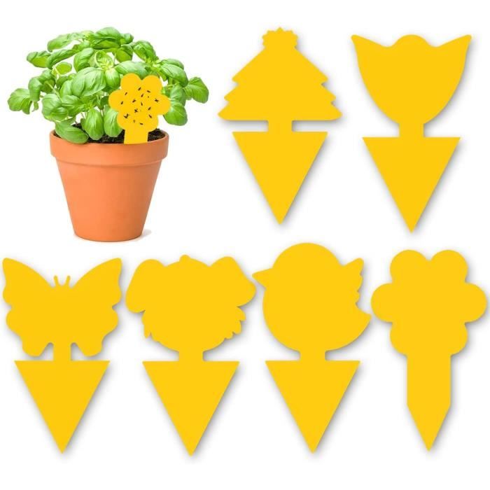 60 Pieces Anti Moucherons Interieur Attrape Moucheron Plantes Piege a Moucherons Cuisine
