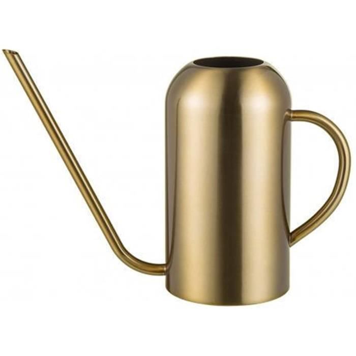 Arrosoir 1L Pour Plantes D'Intérieur - Bec Long Acier Inoxydable, Design Élégant Gris Transparent, Idéal Fleurs Et Succulentes