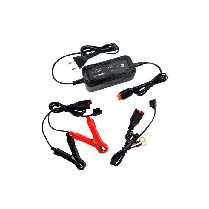Chargeur de batterie et maintien de charge 1 A 