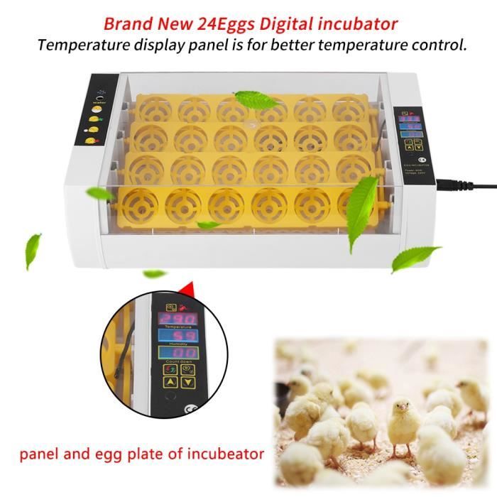 Incubateur Œufs Automatique 7 Œufs - Contrôle Digital Température - Pour Poules, Canards, Cailles - UE