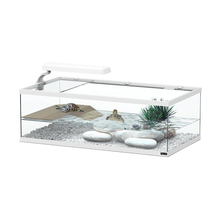 Meilleurs prix pour Aqua Tortum 55cm Blanc - Aquatlantis