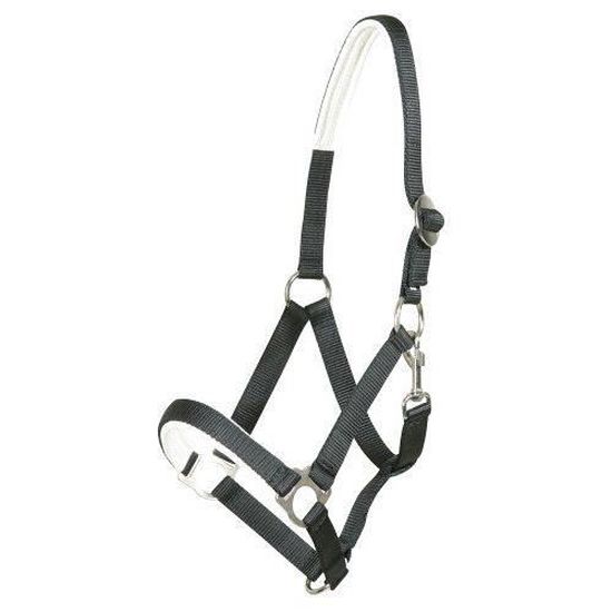 PFIFF COB Licol en Nylon pour Cheval