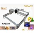 Machine de gravure Laser 500 MW gravure imprimante Laser CNC + lunettes bricolage 220 V,  fraisage graveur-2