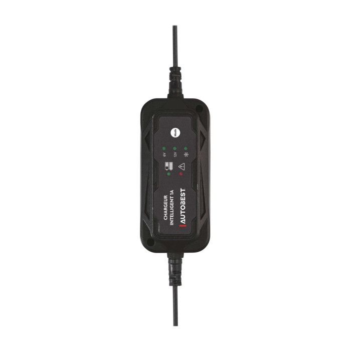 Chargeur de Batterie Moto - YOKULI - Maintien de Charge 6V - 12V - Multifonctionnel et